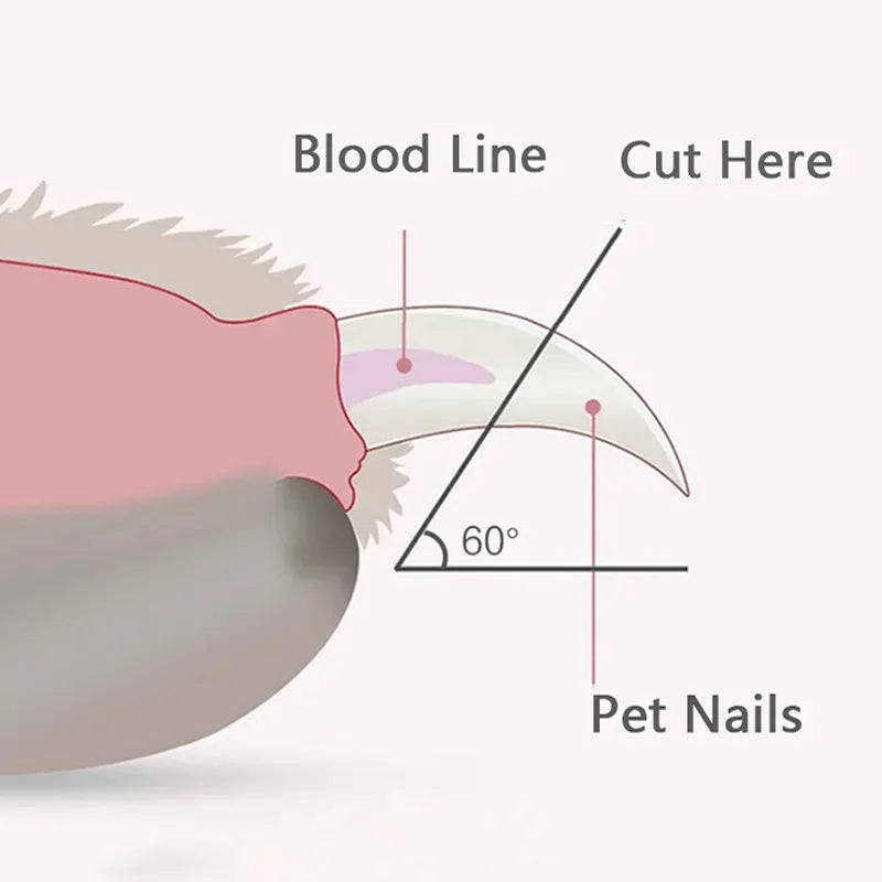 Paw Nail Cliper